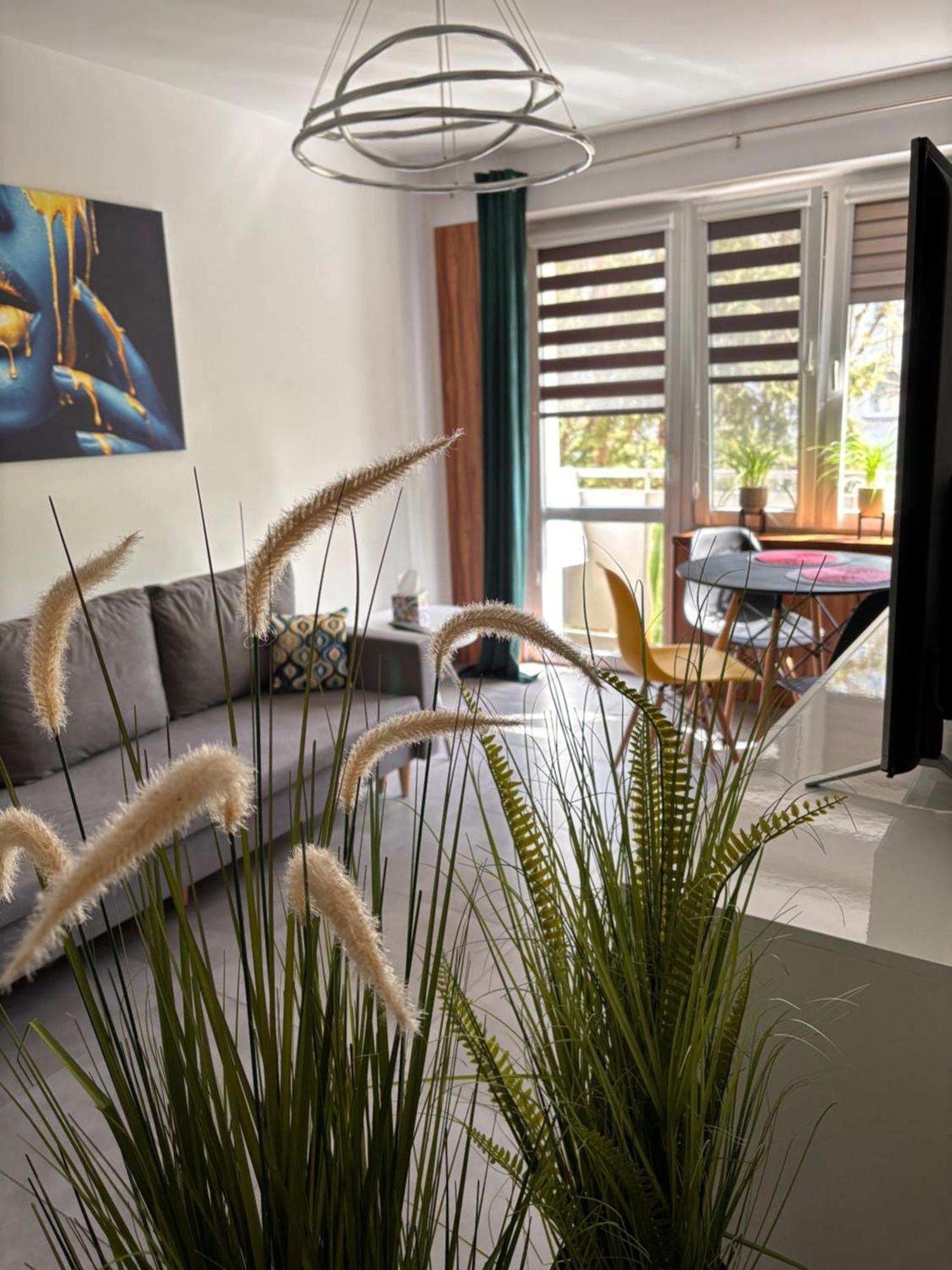 Apartament Teresa Nysa Eksteriør billede